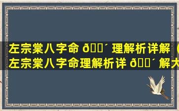 左宗棠八字命 🌴 理解析详解（左宗棠八字命理解析详 🌴 解大全）